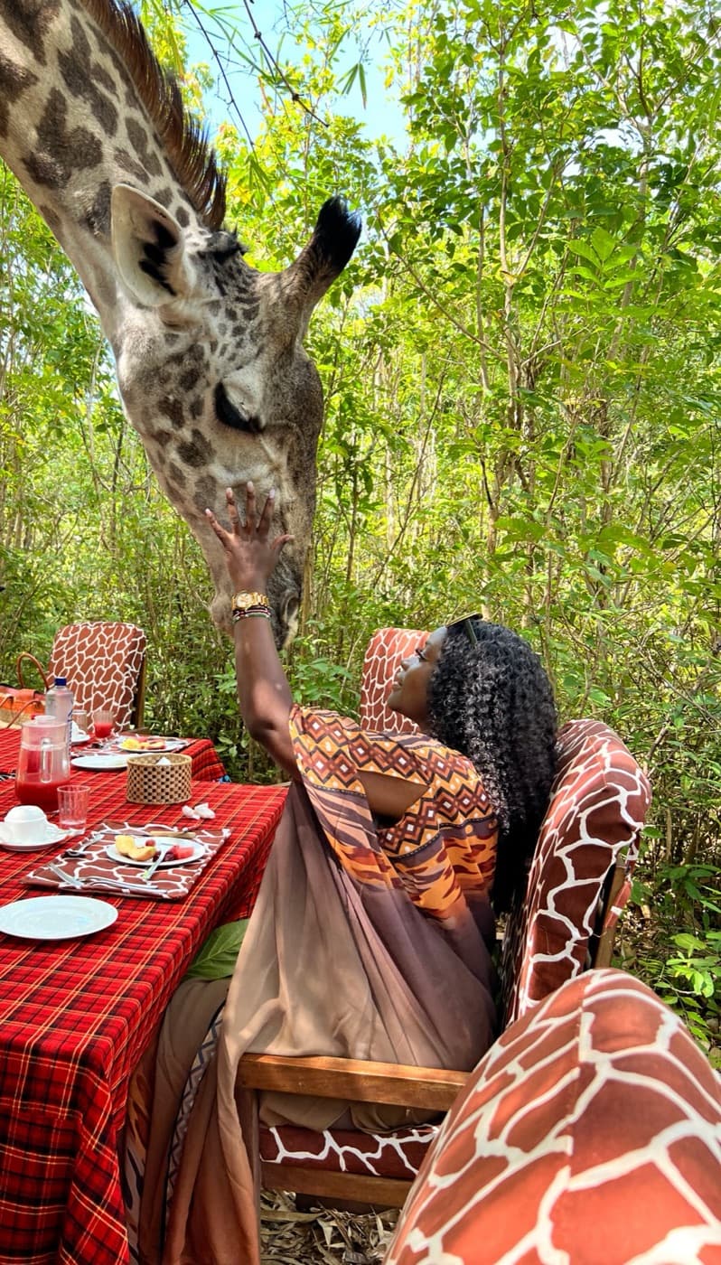 A traveler greeting a giraffe during breakfast